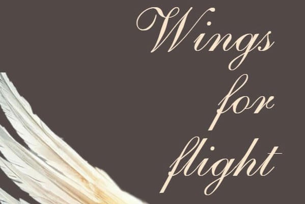 Wings for flight