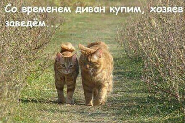 аРабская сказка