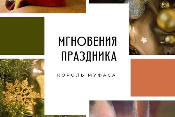 Мгновения праздника