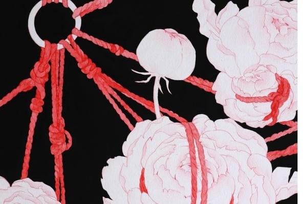 Shibari