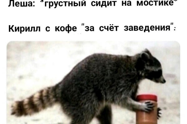 Бариста и его солнышко