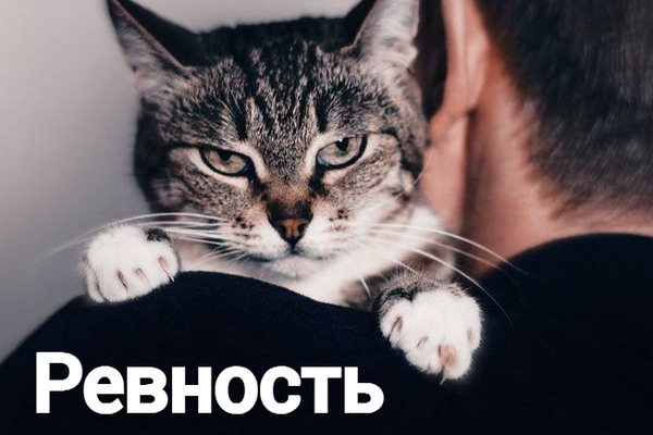 Ревность