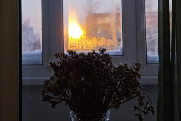 После тебя