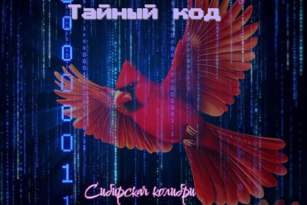 Тайный код