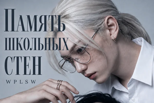 Память школьных стен