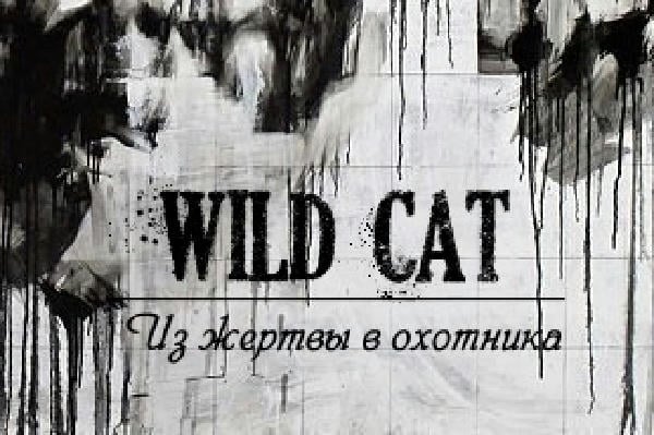 Wild Cat