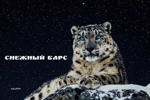 ⲥⲏⲉⲿⲏыύ ⳝⲁⲣⲥ