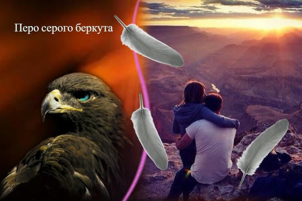 Перо серого беркута