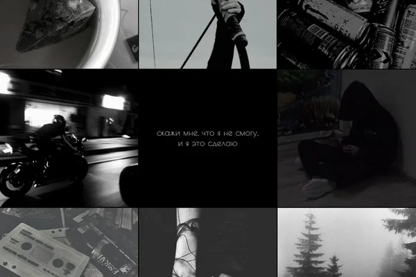 Bow and arrows