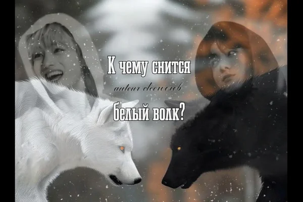 К чему снится белый волк?