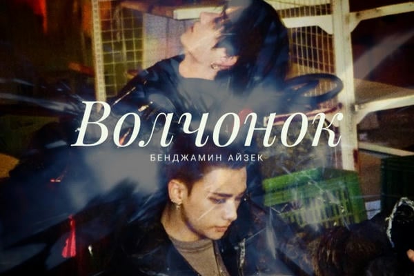 Волчонок