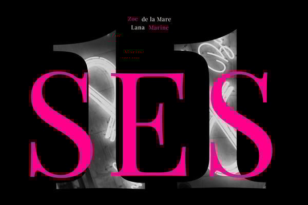 Дик фотосын еркелету