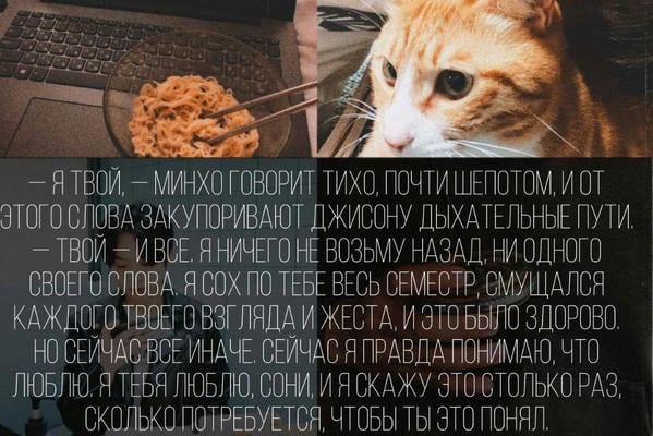 Доберман, Кимпхо и айс-американо