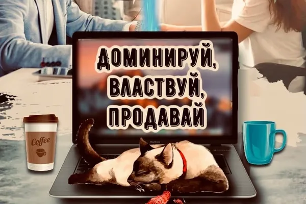Доминируй, властвуй, продавай