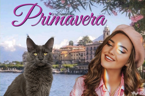 Primavera 