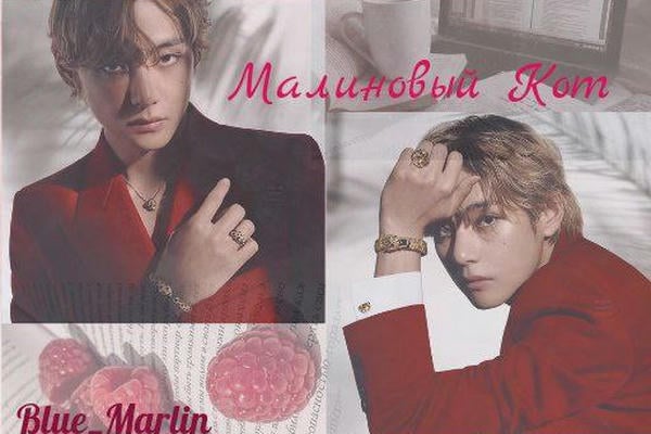 Малиновый Кот