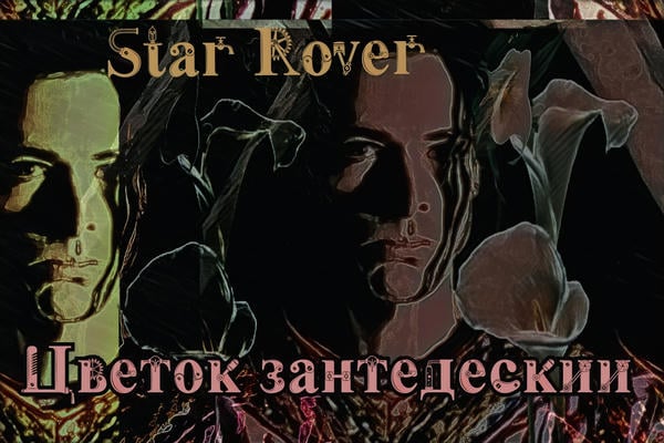 Цветок зантедескии