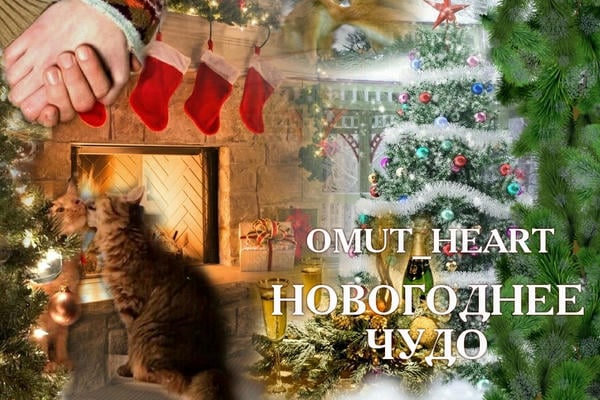 Новогоднее чудо