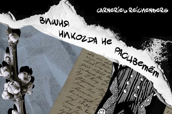 Вишня никогда не расцветет
