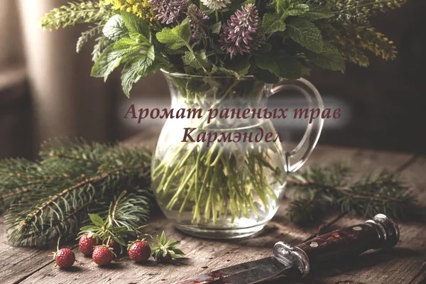 Аромат раненых трав
