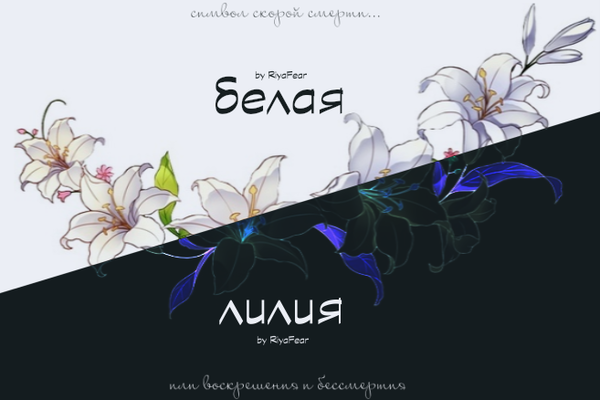 Белая лилия