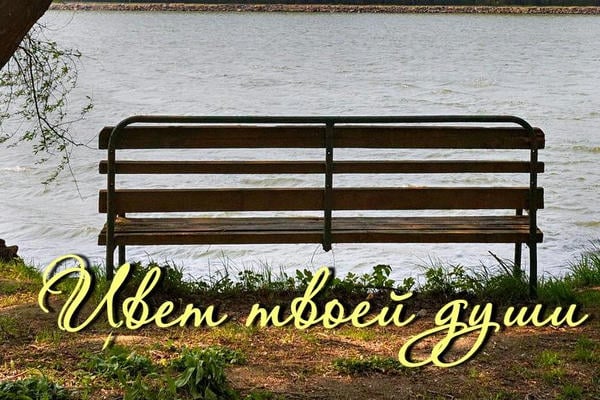 Цвет твоей души