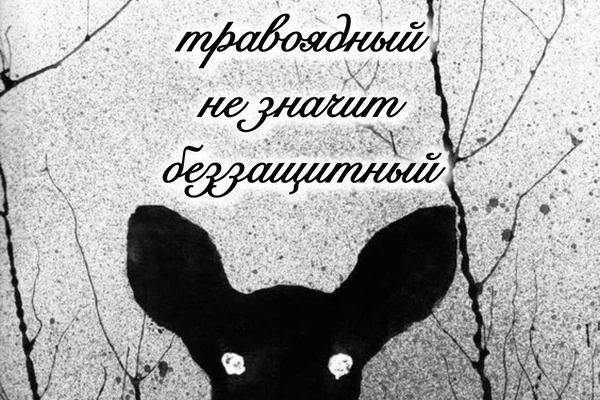 Палач