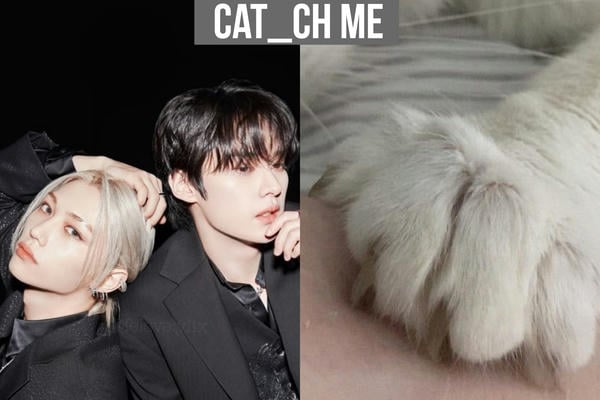 cat_ch me
