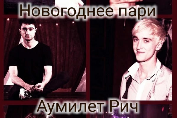 Новогоднее пари