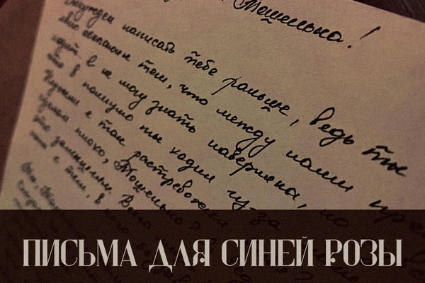 Письма для синей розы