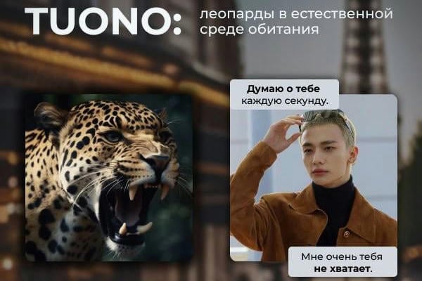 Леопарды в естественной среде обитания