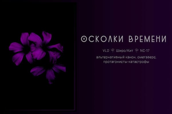 Осколки времени