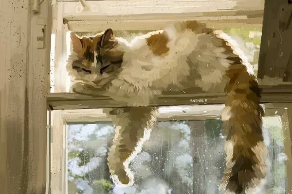 Кошачий мир