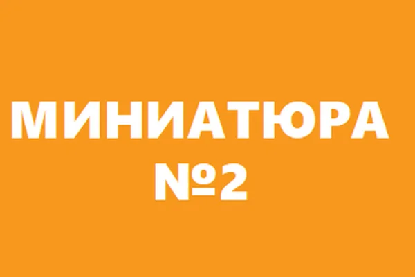 Миниатюра №2