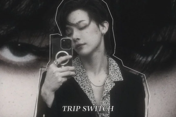 TRIP SWITCH