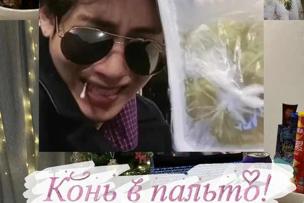 Кто? Конь в пальто!