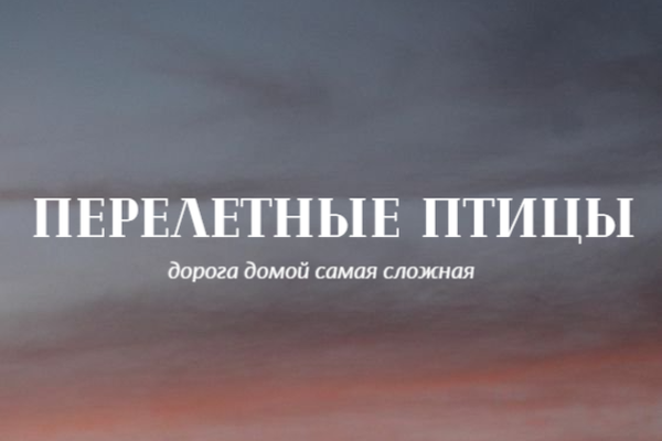 Перелетные птицы