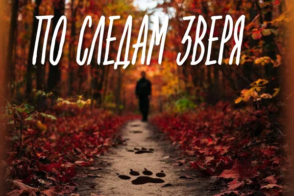 По следам зверя