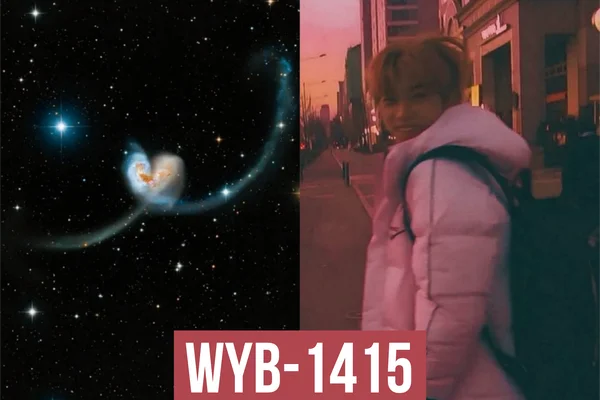 WYB-1415