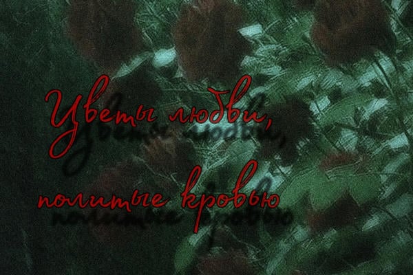 Цветы любви, политые кровью