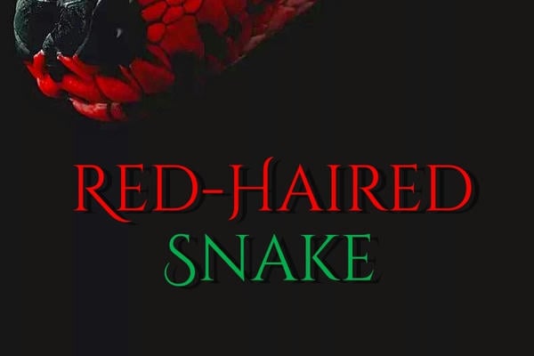 Red-Haired Snake