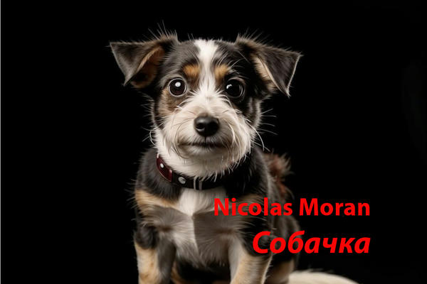 Собачка