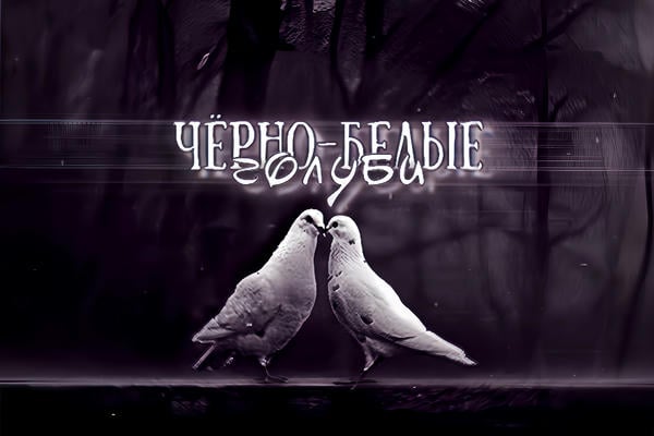 Чёрно-белые голуби