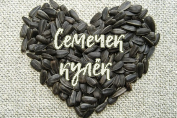 Семечек кулёк