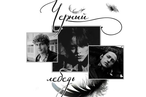Черный лебедь