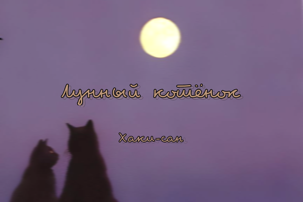 Лунный котёнок