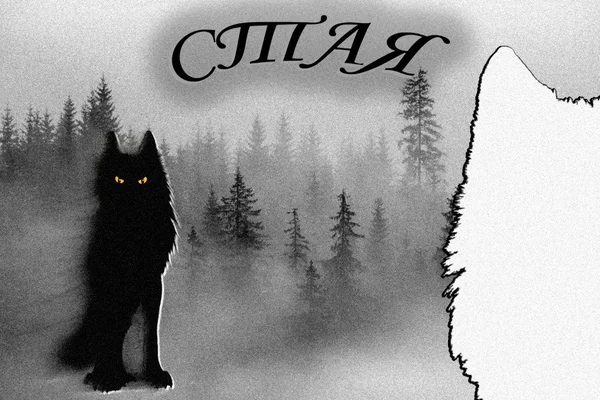 Стая