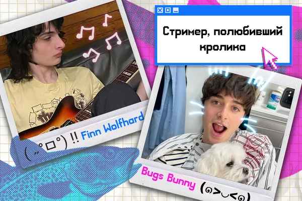 Стример, полюбивший кролика