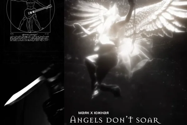 Angels don’t soar