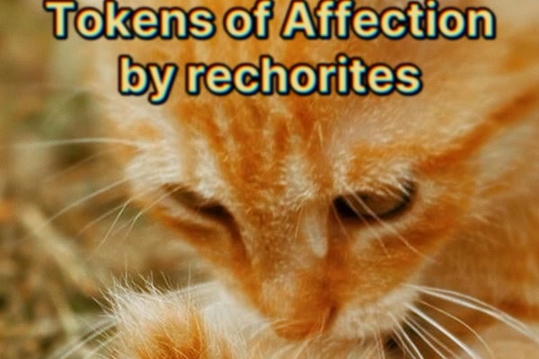Tokens of Affection | Подарки в знак чувств